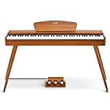 Donner DDP-80 E-Piano 88 Tasten Gewichtet Klavier, Hammermechanik II, Home Digital-Pianos Volle Größe Keyboard mit Ständer, Dreifach-pedal, USB-MIDI und Kopfhöreranschluss